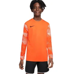 Nike DRY PARK IV Keepersshirt Lange Mouwen Kids Oranje