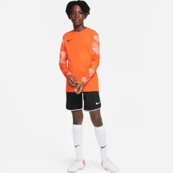 Nike DRY PARK IV Keepersshirt Lange Mouwen Kids Oranje
