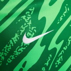 Nike Nederland Keepersshirt Lange Mouwen 2024-2026 Groen