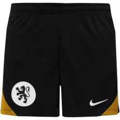 Nike Nederland Strike Trainingsset OranjeLeeuwinnen 2025-2027 Dames Brons Zwart Wit