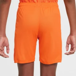 Nike Nederland Thuisset OranjeLeeuwinnen 2025-2027 Kids