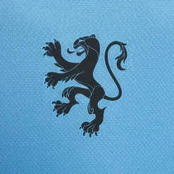 Nike Nederland Uittenue OranjeLeeuwinnen 2025-2027 Kids