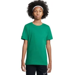 Nike Park 20 T-Shirt Kids Groen