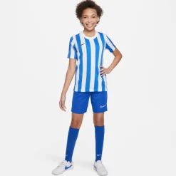 Nike Striped Division IV Voetbalshirt Kids Wit Blauw