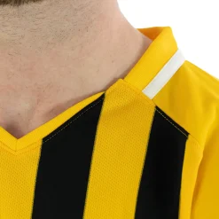 Nike Stripe Division III Voetbalshirt Lange Mouwen Geel Zwart
