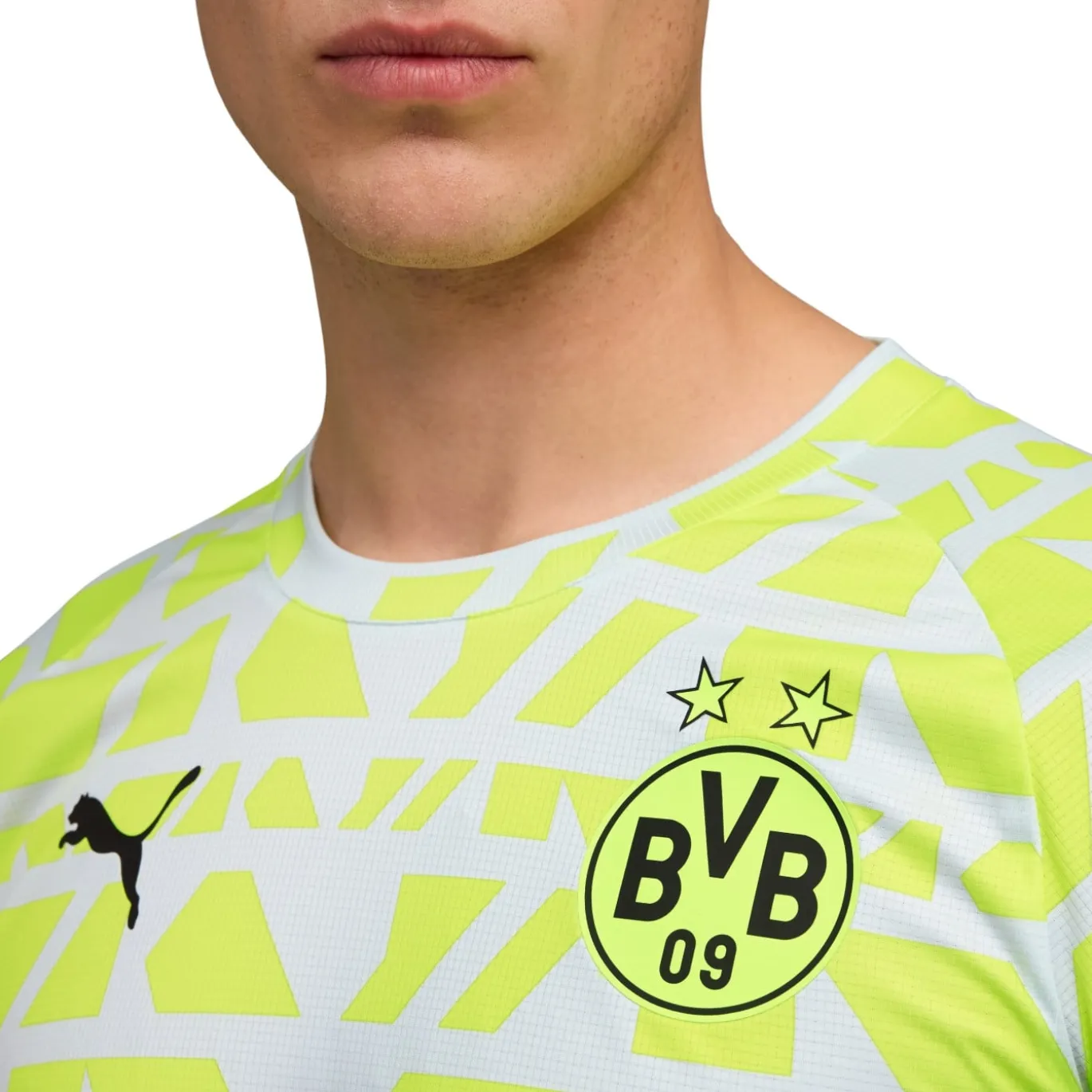 PUMA Borussia Dortmund Pre-Match Trainingsshirt 2025-2026 Zilver Geel