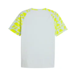 PUMA Borussia Dortmund Pre-Match Trainingsshirt 2025-2026 Zilver Geel