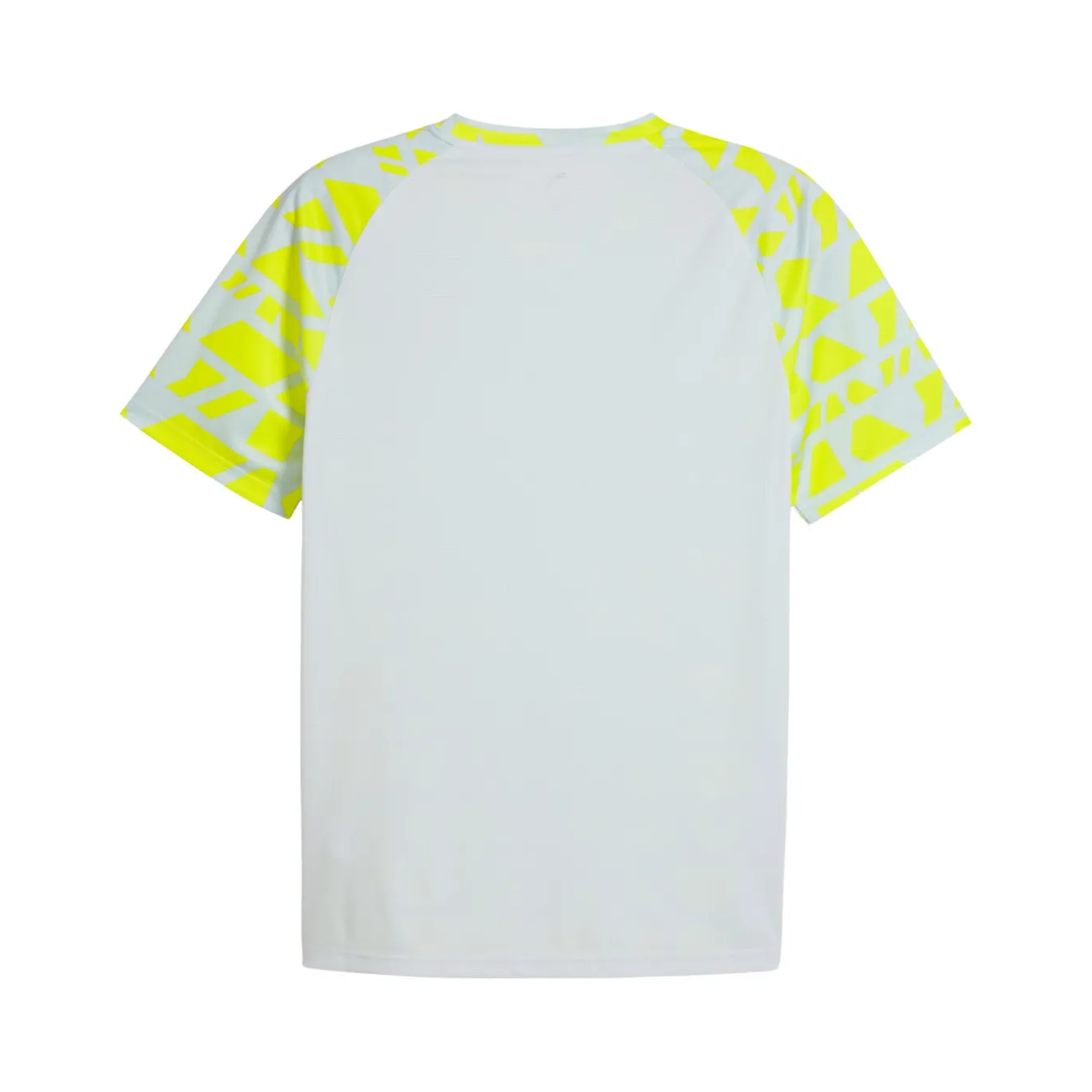 PUMA Borussia Dortmund Pre-Match Trainingsshirt 2025-2026 Zilver Geel