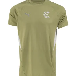 PUMA Cercle Brugge Casual T-Shirt 2025-2026 Groen