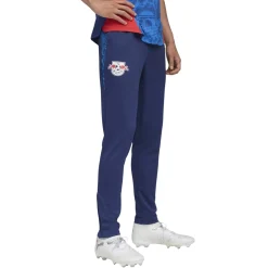 PUMA RB Leipzig Trainingsbroek 2025-2026 Donkerblauw Blauw