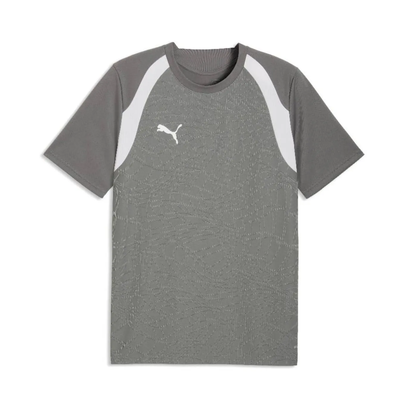 PUMA teamFINAL26 Trainingsshirt Grijs