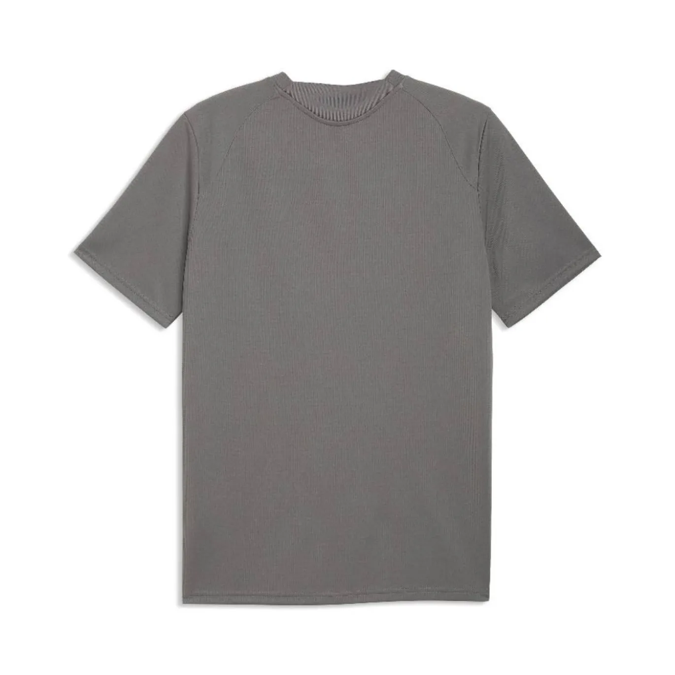 PUMA teamFINAL26 Trainingsshirt Grijs