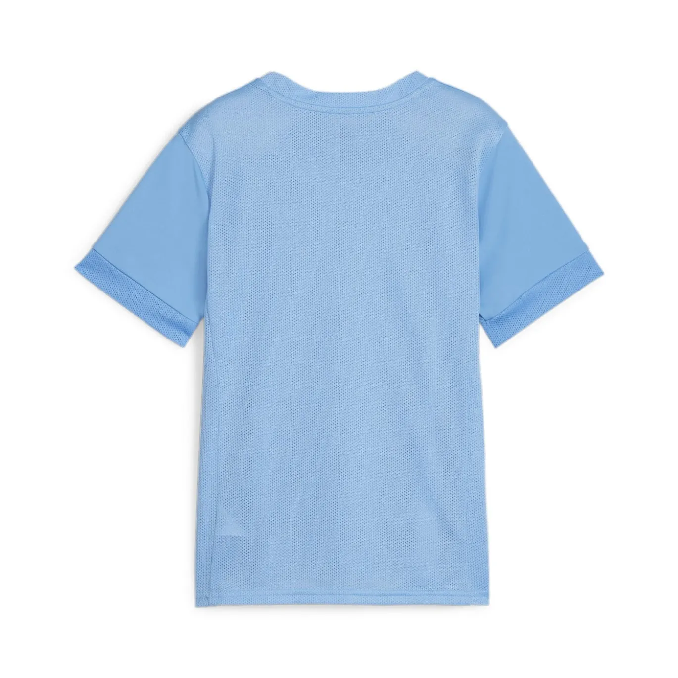 PUMA teamGOAL Matchday Voetbaltenue Kids Lichtblauw Wit