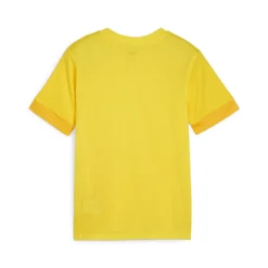 PUMA teamGOAL Matchday Voetbaltenue Kids Geel Zwart
