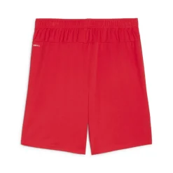 PUMA teamGOAL Matchday Voetbaltenue Rood Wit