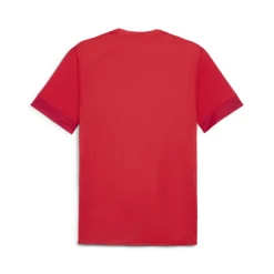 PUMA teamGOAL Matchday Voetbaltenue Rood Wit