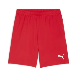 PUMA teamGOAL Matchday Voetbaltenue Rood Wit