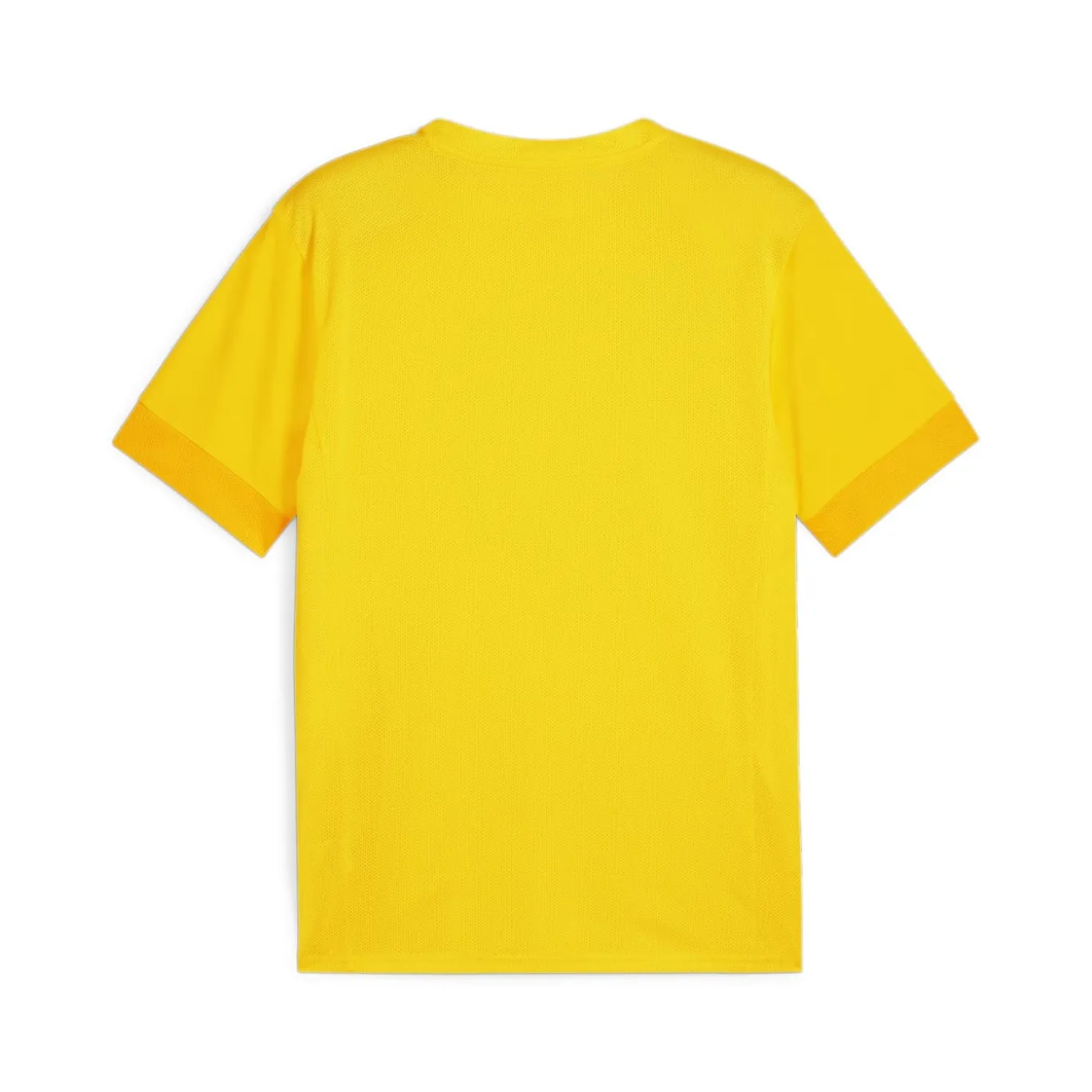 PUMA teamGOAL Matchday Voetbaltenue Geel Zwart