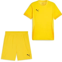 PUMA teamGOAL Matchday Voetbaltenue Geel Zwart