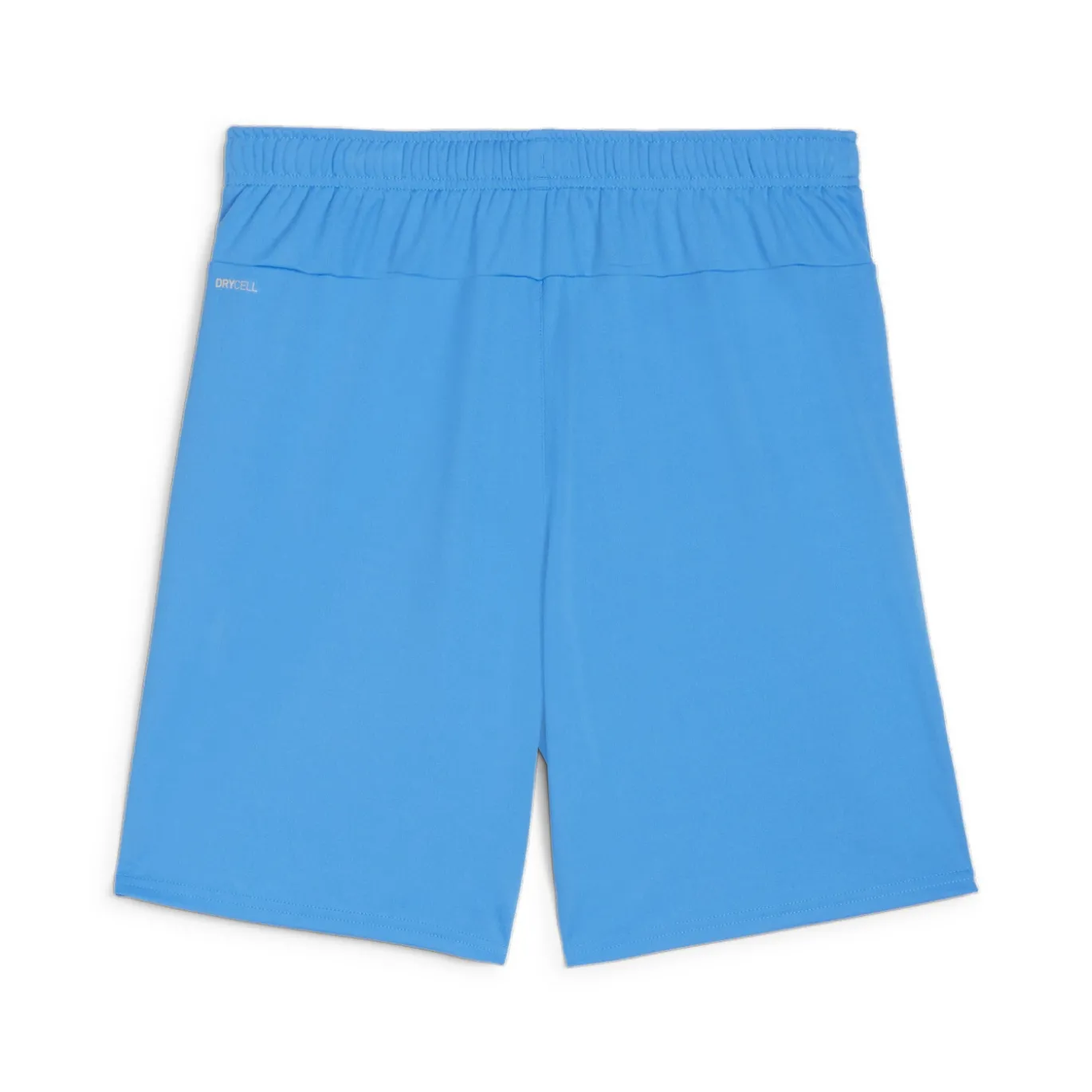 PUMA teamGOAL Matchday Voetbaltenue Blauw Wit