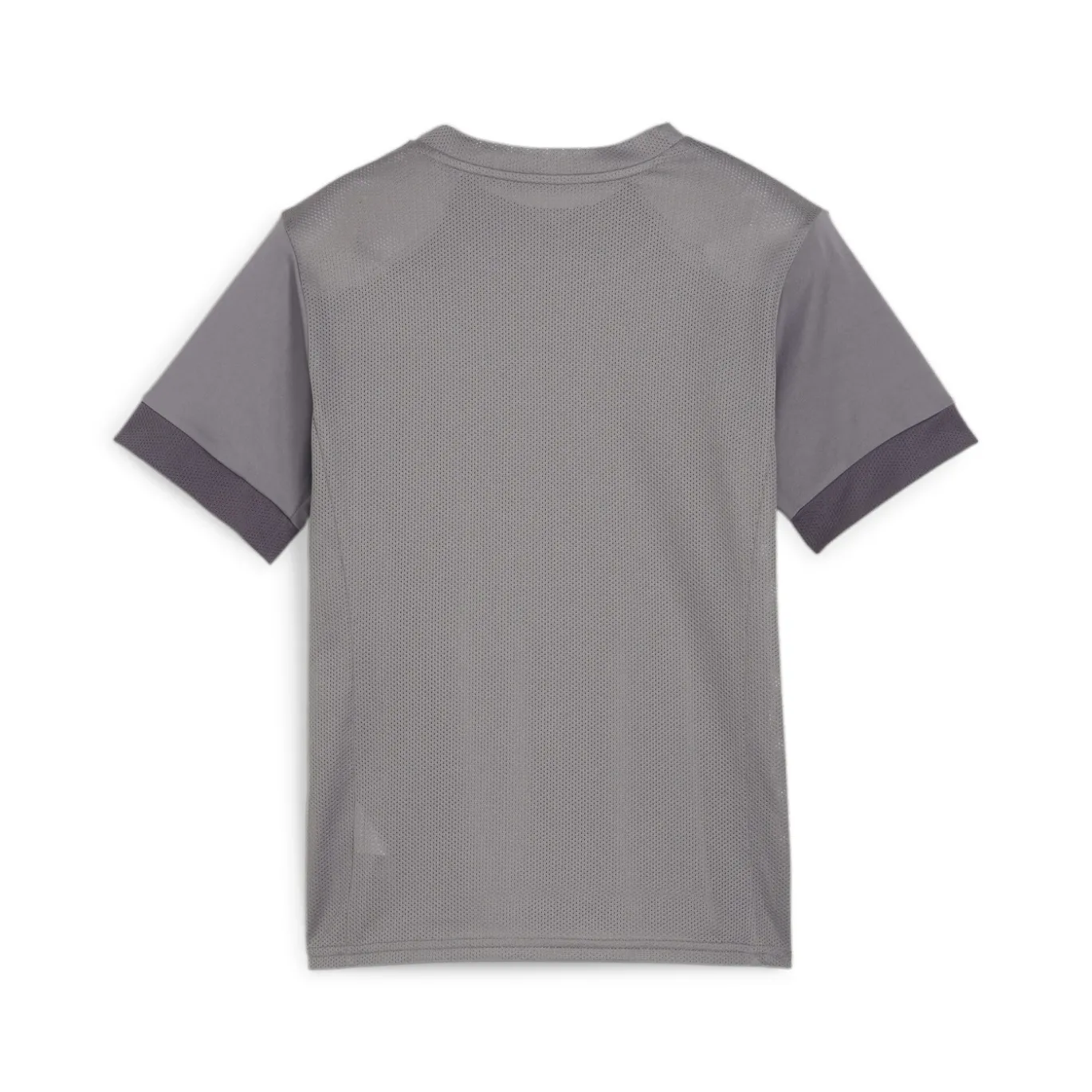 PUMA teamGOAL Matchday Voetbalshirt Kids Grijs Wit