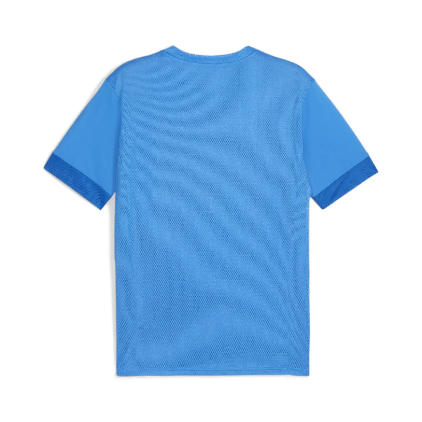 PUMA teamGOAL Matchday Voetbalshirt Blauw Wit