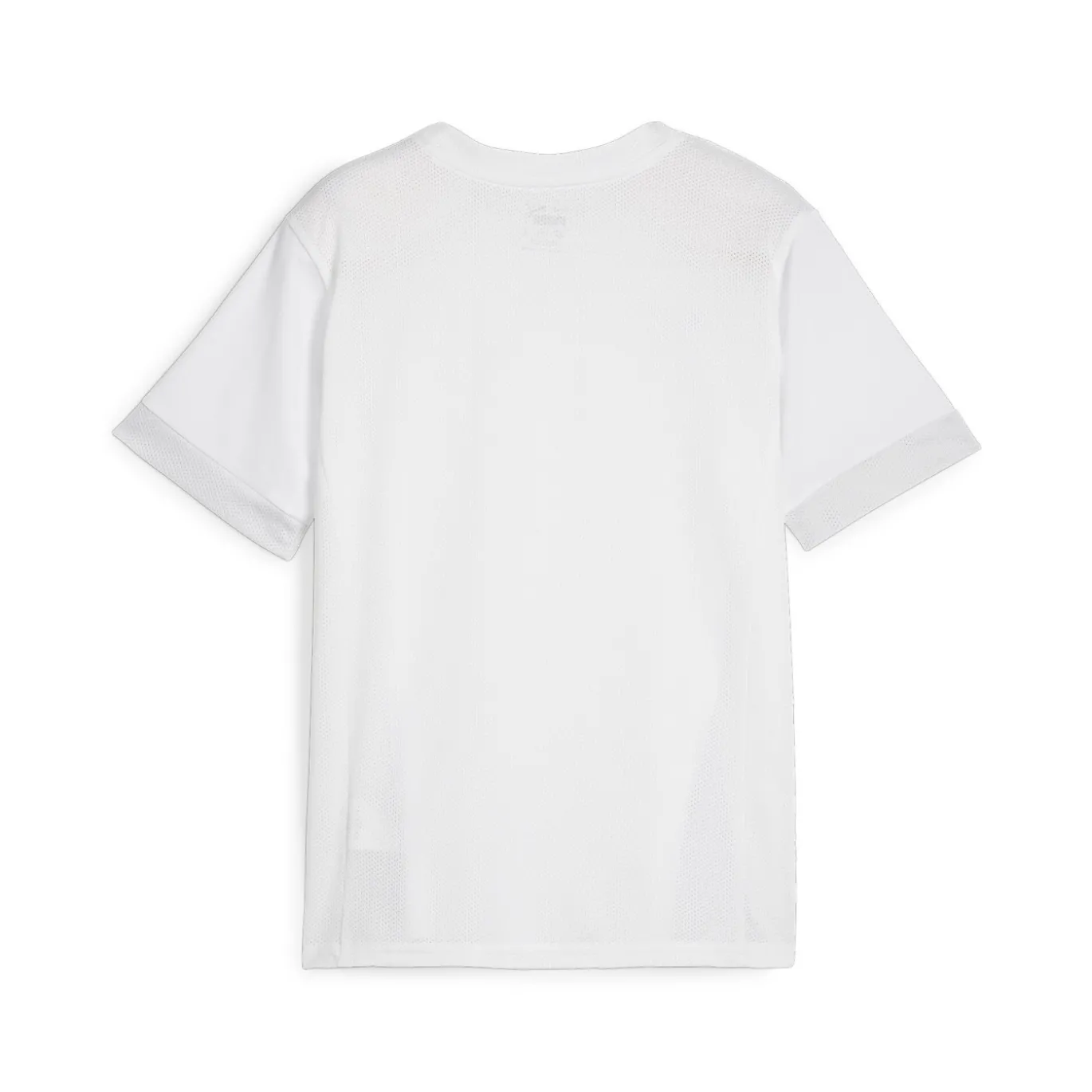 PUMA teamGOAL Matchday Voetbalshirt Kids Wit Zwart Grijs