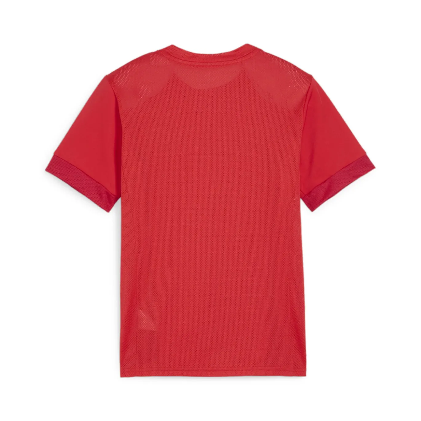 PUMA teamGOAL Matchday Voetbalshirt Kids Rood Wit