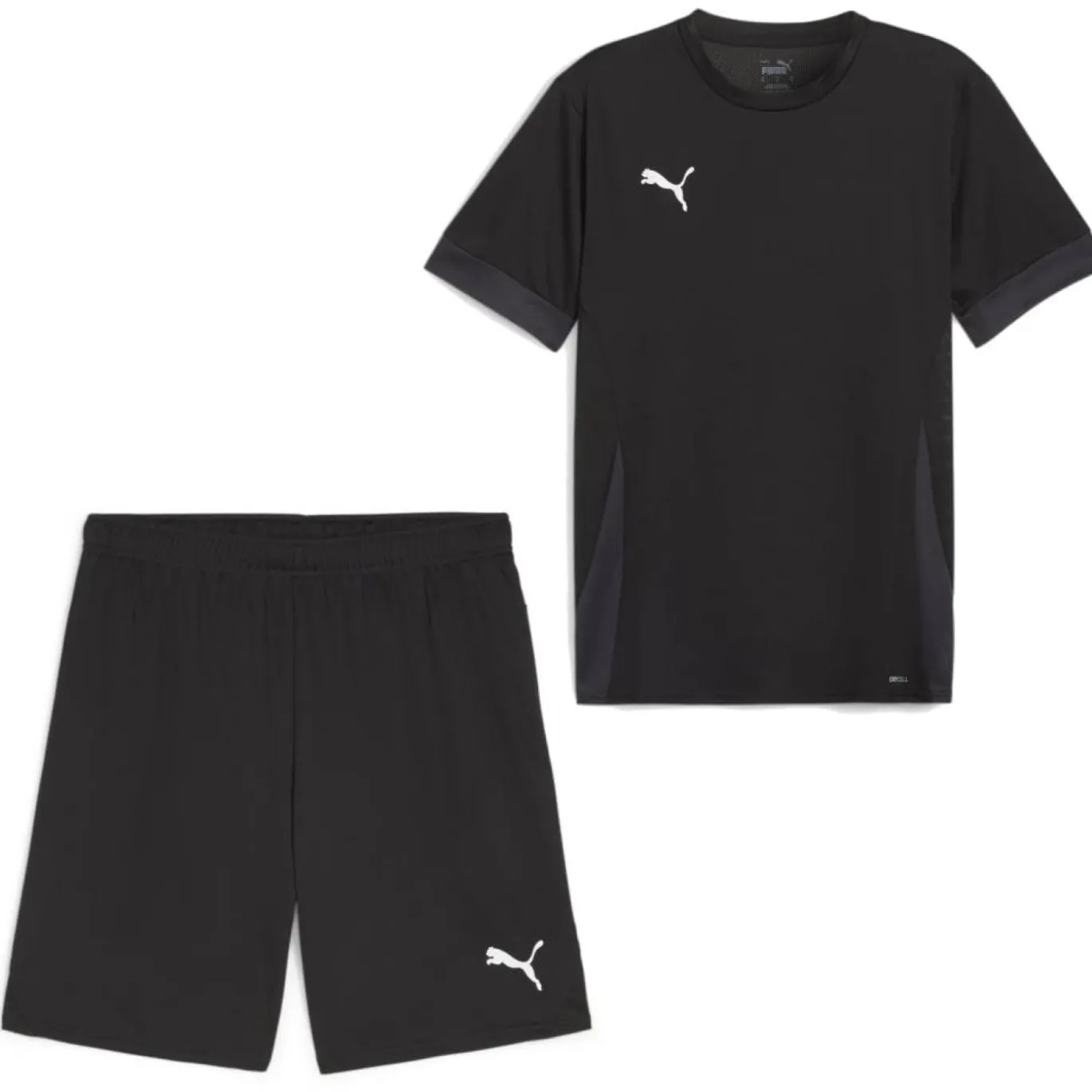 PUMA teamGOAL Matchday Voetbaltenue Zwart Wit