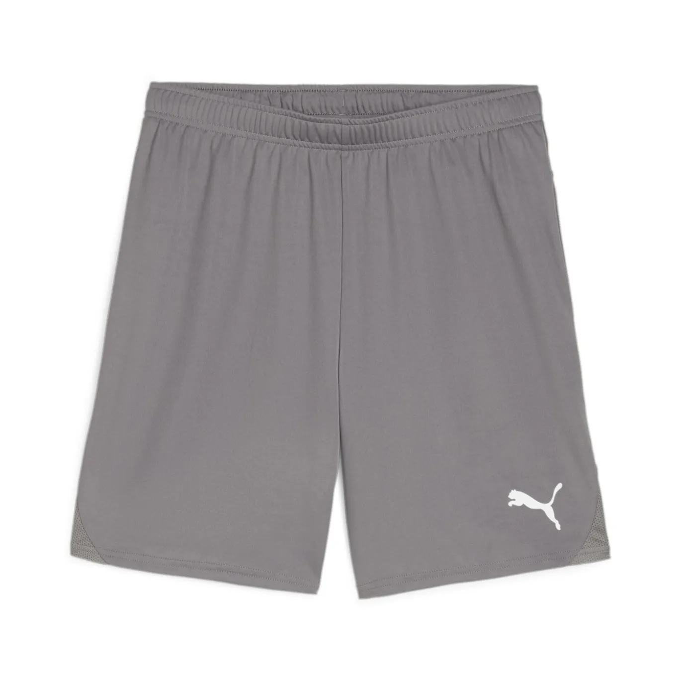 PUMA teamGOAL Voetbalbroekje Grijs Wit