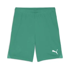 PUMA teamGOAL Voetbalbroekje Groen Wit
