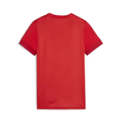 PUMA teamGOAL Voetbalshirt Dames Rood Wit