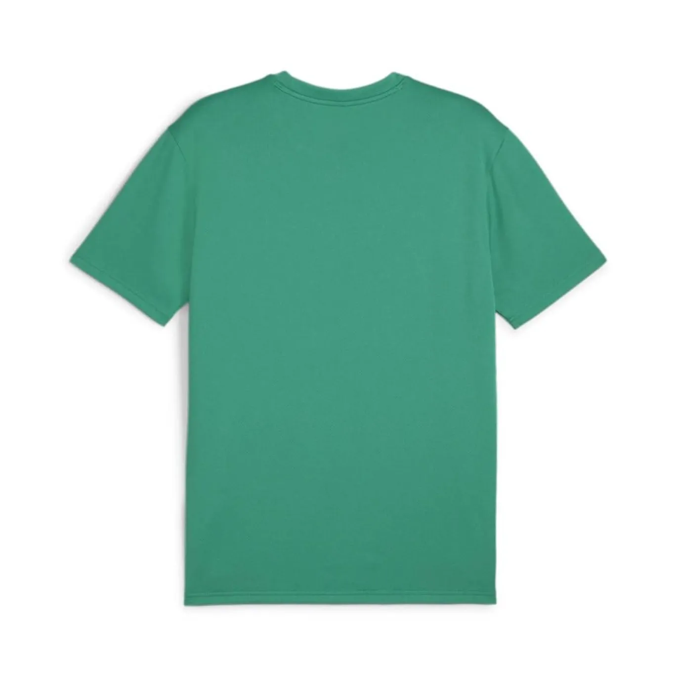 PUMA teamGOAL Voetbalshirt Groen Wit
