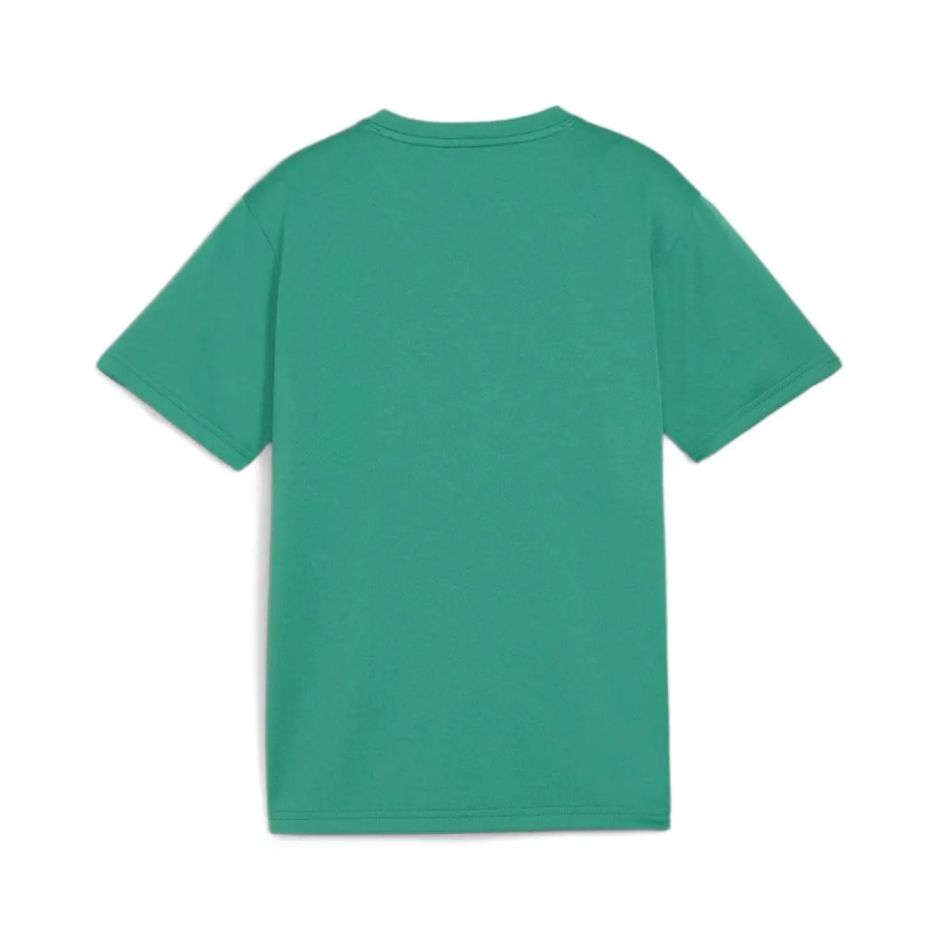 PUMA teamGOALVoetbalshirt Kids Groen