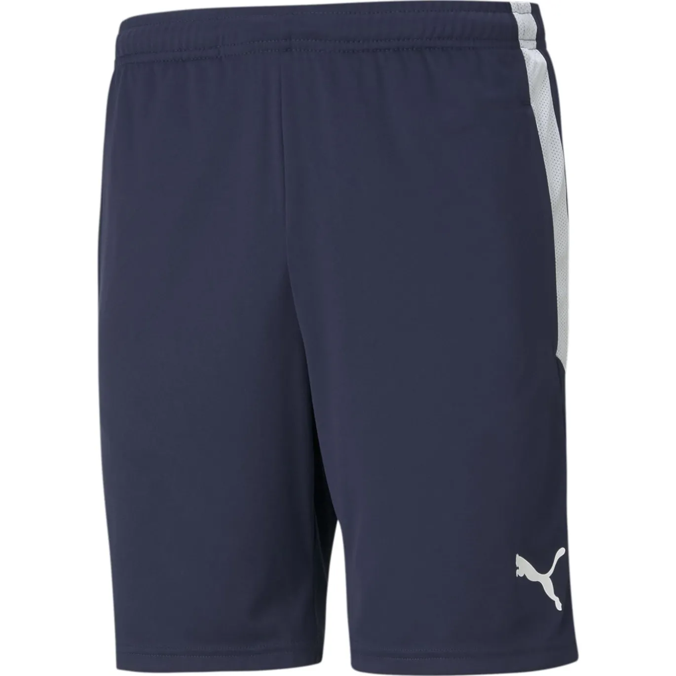 PUMA TeamLIGA Trainingsbroekje Donkerblauw Wit