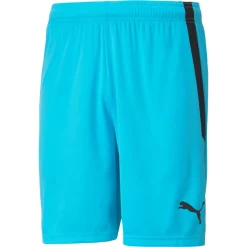 PUMA teamLIGA Voetbalbroekje Felblauw Zwart