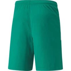 PUMA teamLIGA Voetbalbroekje Groen Wit