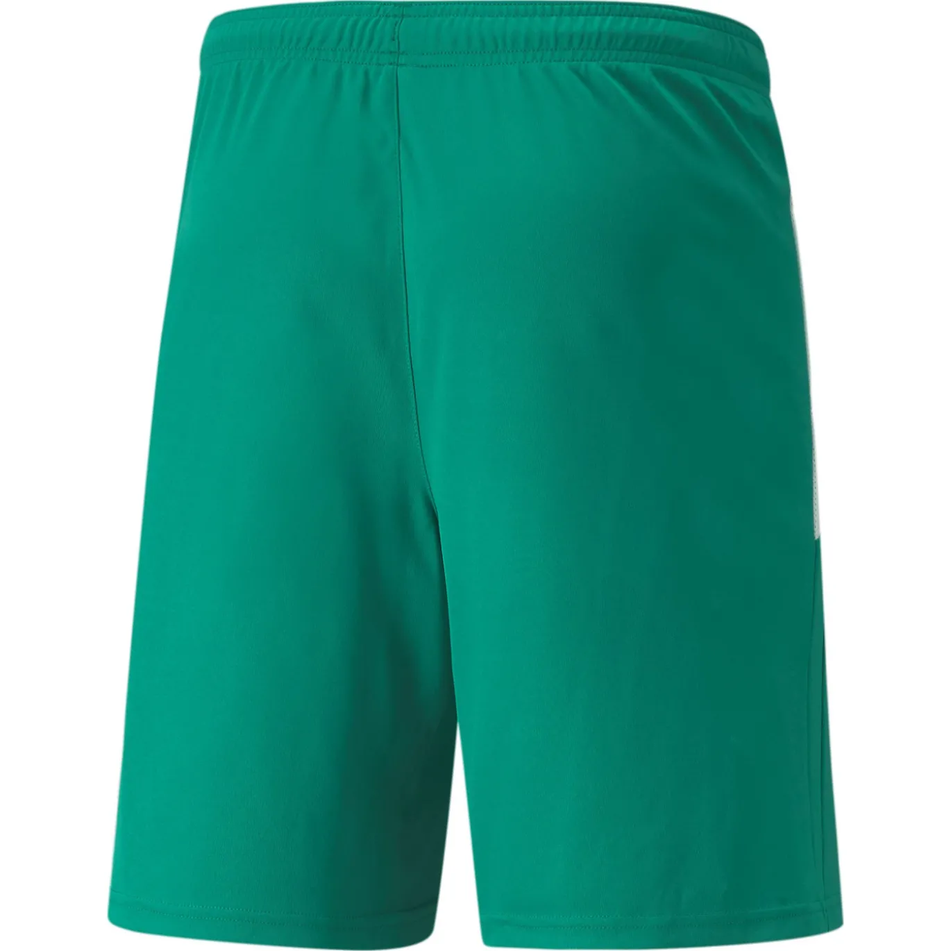 PUMA teamLIGA Voetbalbroekje Groen Wit
