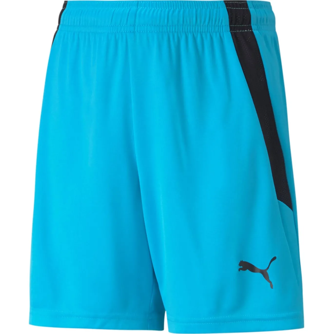 PUMA teamLIGA Voetbalbroekje Kids Felblauw Zwart