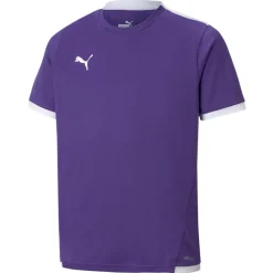 PUMA teamLIGA Voetbalshirt Kids Paars Wit