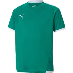 PUMA teamLIGA Voetbalshirt Kids Groen Wit