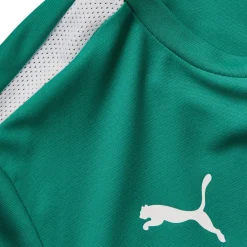 PUMA teamLIGA Voetbalshirt Kids Groen Wit