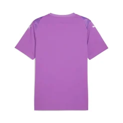 PUMA teamULTIMATE Voetbalshirt Paars